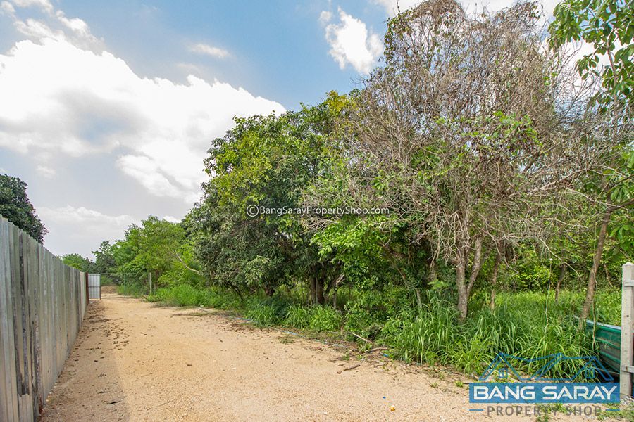 Land for Sale in Soi Silver Lake vineyard, Corner Plot  Land  For sale