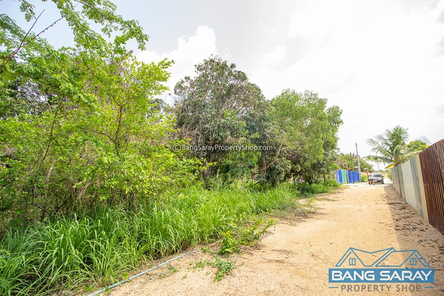 Land for Sale in Soi Silver Lake vineyard, Corner Plot  Land  For sale