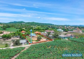 Land For Sale In Bang Saray Only 2.5 Km. From The Beach. -  Land For Sale In Bang Saray, Na Jomtien