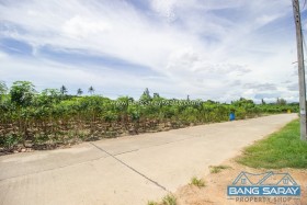 Land For Sale In Bang Saray Only 2.5 Km. From The Beach. -  Land For Sale In Bang Saray, Na Jomtien