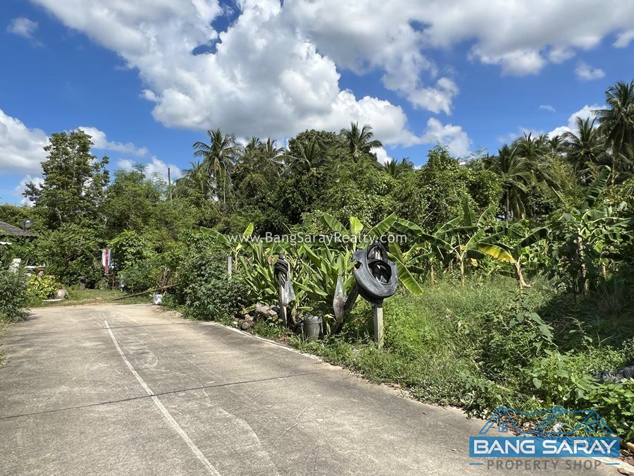 1 Rai of Land for Sale in Nong Pla Lai 100 m. to 36Rd. Land  For sale