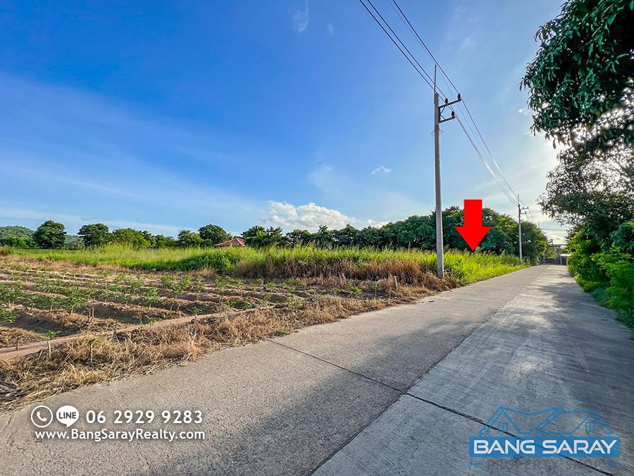 2 Rai of Land for Sale  with Sea View Bang Saray Land  For sale