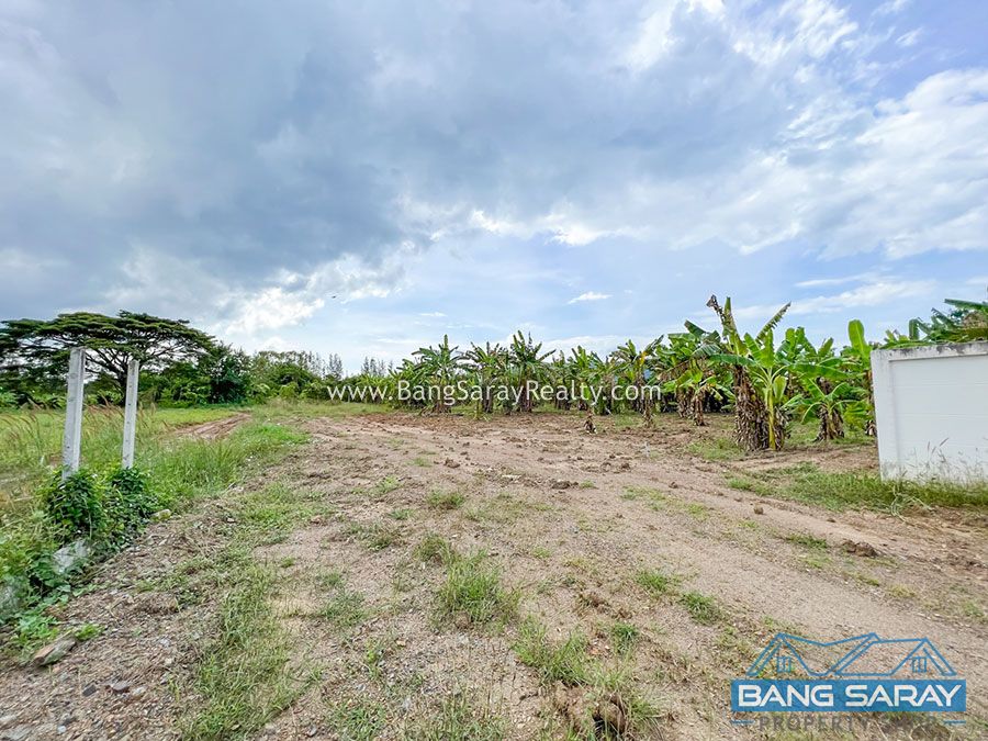 153 Sqw of Land for Sale in Beachside Bang Saray Land  For sale