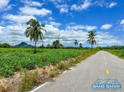 1 Rai 100 Sqw  Plot Of Land For Sale In Bang Saray Eastside  -  Land For Sale In Bang Saray, Na Jomtien