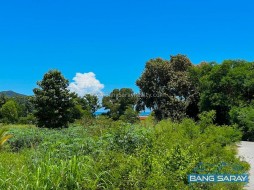 1 Rai 100 Sqw  Plot Of Land For Sale In Bang Saray Eastside  -  Land For Sale In Bang Saray, Na Jomtien